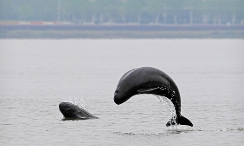 八个多月的宝宝晚上睡觉频繁醒来-八个多月的宝宝晚上睡觉频繁醒来-8个月的宝宝晚上总醒正常吗,中国8个月的宝宝晚上总醒网站